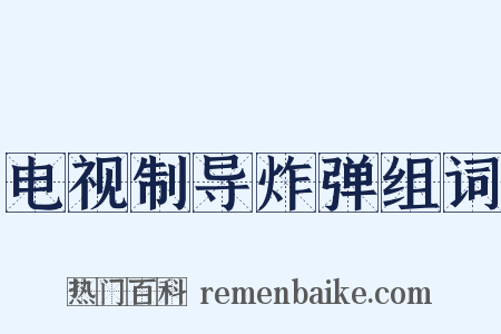 电视制导炸弹组词是什么意思的图片
